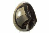 Septarian Dragon Egg Geode - Sparkly Black Crystals #336456-1